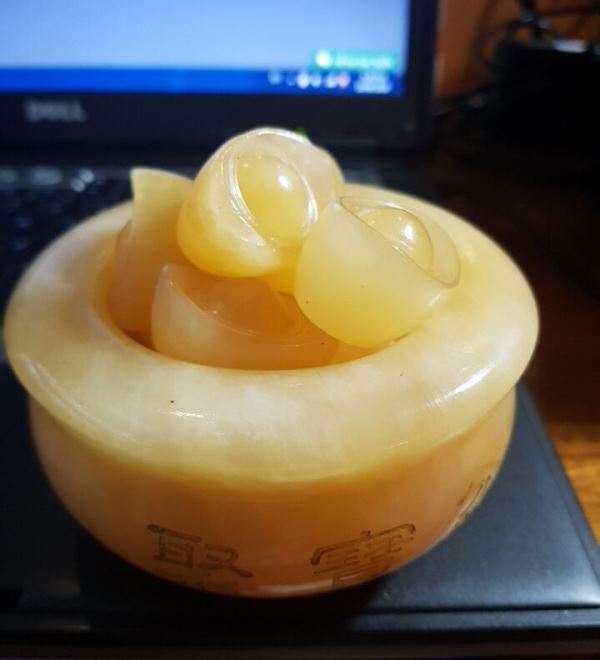 Chậu tụ bảo tài lộc M18