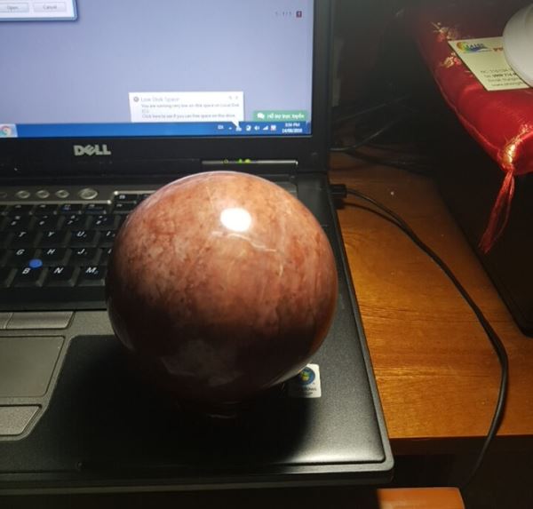 Quả cầu gỗ hóa thạch M47